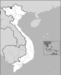 Distribution of Pheretima bournei