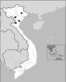 Distribution of Pheretima campanoporophorata