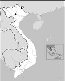 Distribution of Ph. coniporophorata