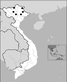 Distribution of Pheretima cupreae